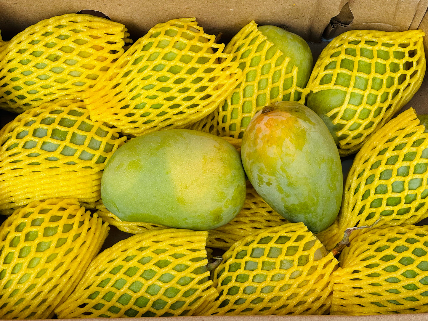 Gir Talala Kesar Mango