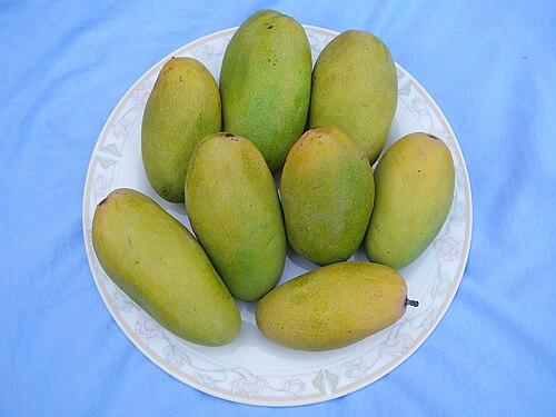 DASHERI MANGO