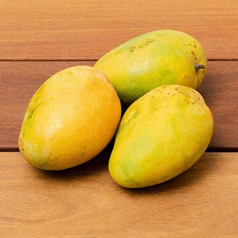 Banganapalli mango online Canada delivery