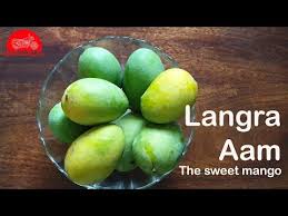LANGRA MANGO